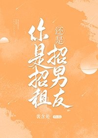 你是招租還是招男朋友