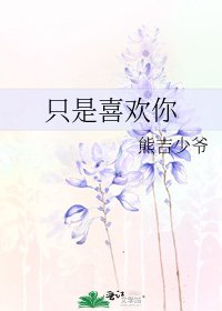 只是喜欢你