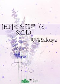 [HP]暗夜孤星（SSxLL）
